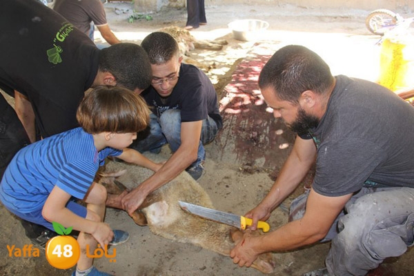 dabe7 ludj31 (45).JPG